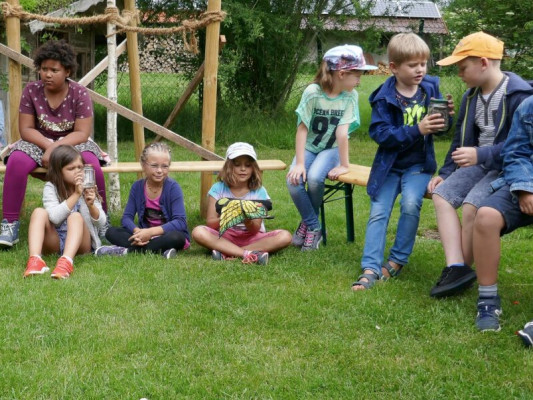 2016-Wiesen-Nuetzlinge-1050087