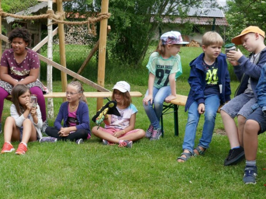 2016-Wiesen-Nuetzlinge-1050088