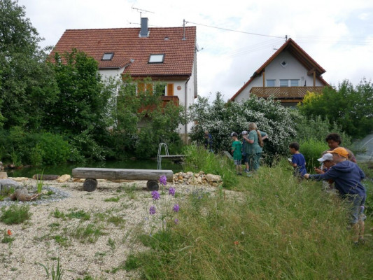 2016-Wiesen-Nuetzlinge-1050102