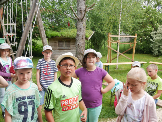 2018-Nuetzlinge-im-Garten-1030802