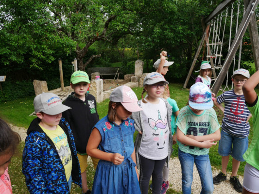 2018-Nuetzlinge-im-Garten-1030804