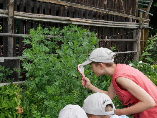 2018-Nuetzlinge-im-Garten-1030807