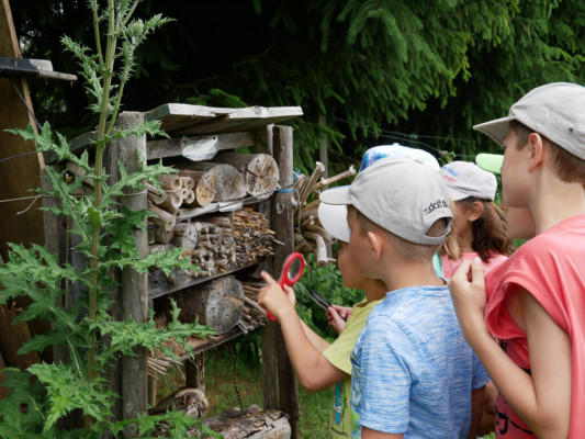 2018-Nuetzlinge-im-Garten-1030809