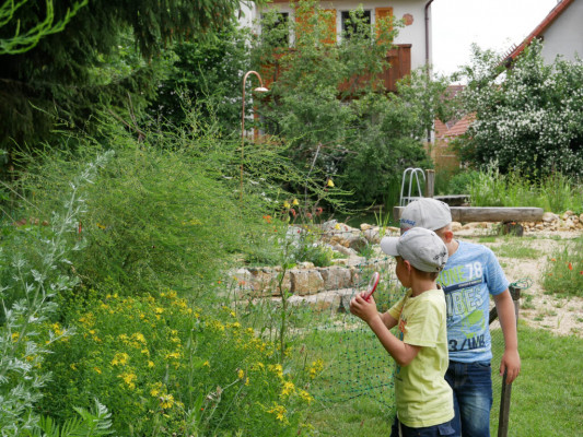 2018-Nuetzlinge-im-Garten-1030812