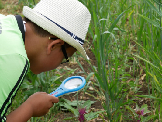2018-Nuetzlinge-im-Garten-1030813