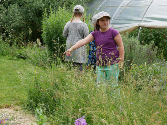 2018-Nuetzlinge-im-Garten-1030817