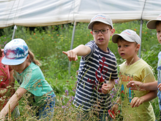 2018-Nuetzlinge-im-Garten-1030818