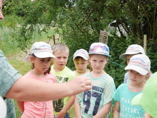 2018-Nuetzlinge-im-Garten-1030835