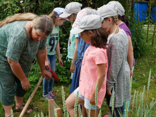 2018-Nuetzlinge-im-Garten-1030836