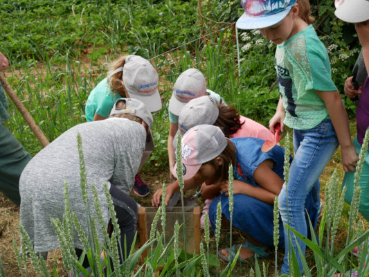 2018-Nuetzlinge-im-Garten-1030837