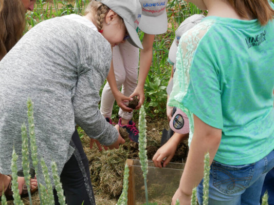 2018-Nuetzlinge-im-Garten-1030838