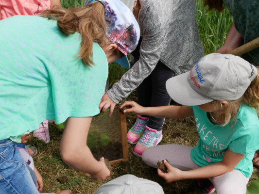 2018-Nuetzlinge-im-Garten-1030839