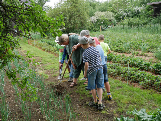 2018-Nuetzlinge-im-Garten-1030851