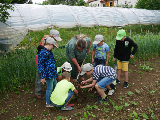 2018-Nuetzlinge-im-Garten-1030859
