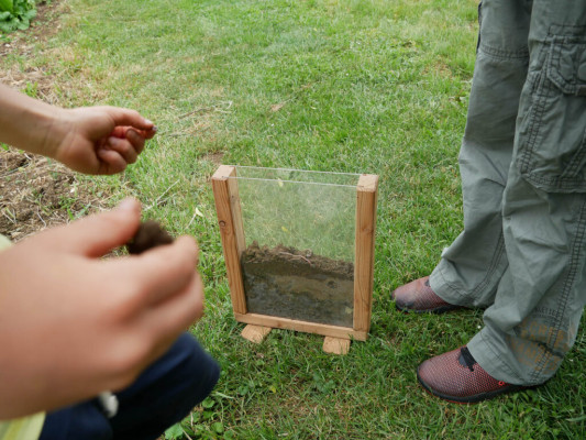 2018-Nuetzlinge-im-Garten-1030861