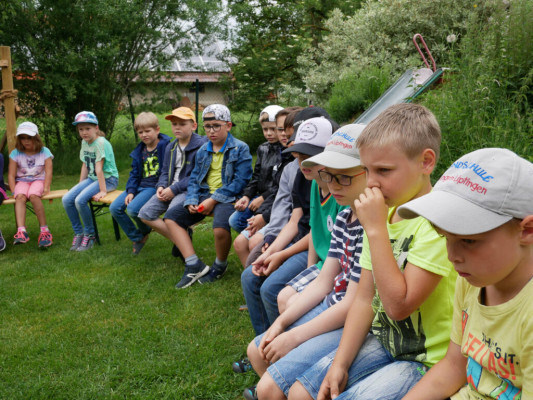 2018-Nuetzlinge-im-Garten-1030869