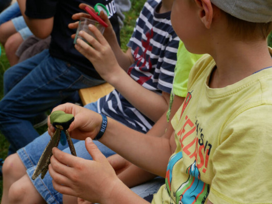 2018-Nuetzlinge-im-Garten-1030876