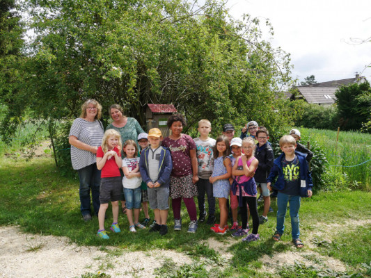 2018-Nuetzlinge-im-Garten-1030903